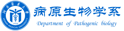 微生物学教研室