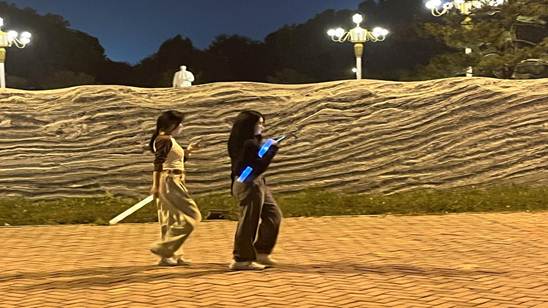 图示, 示意图

中度可信度描述已自动生成:ver1